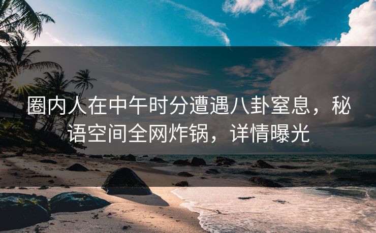 圈内人在中午时分遭遇八卦窒息，秘语空间全网炸锅，详情曝光