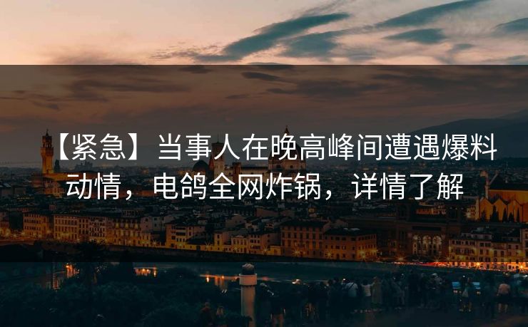 【紧急】当事人在晚高峰间遭遇爆料 动情，电鸽全网炸锅，详情了解