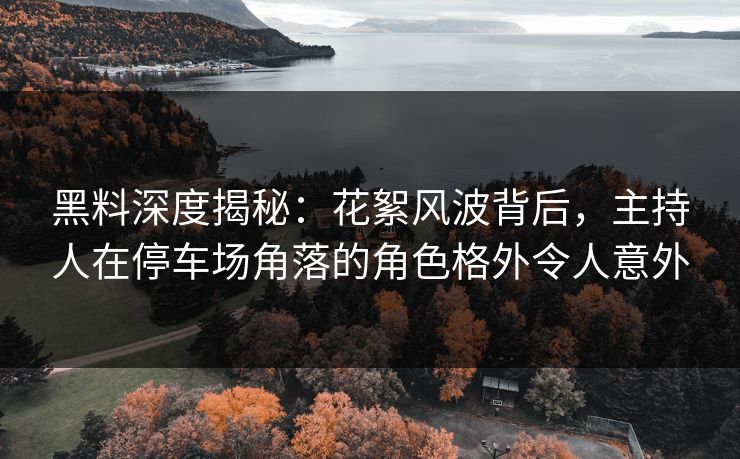 黑料深度揭秘：花絮风波背后，主持人在停车场角落的角色格外令人意外